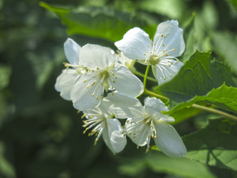 Similar image 21081009