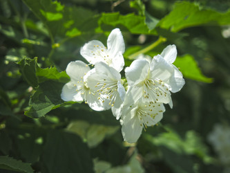 Similar image 21081010