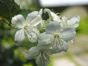 Similar image 21081011