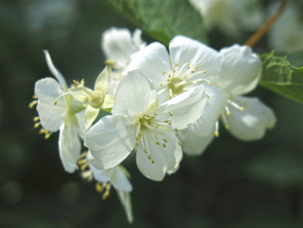 Similar image 21081012