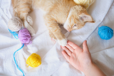 Similar image 21111621