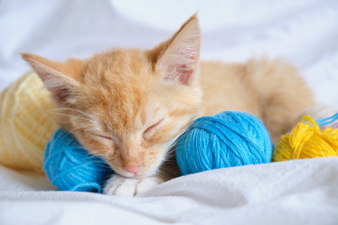 Similar image 21111625