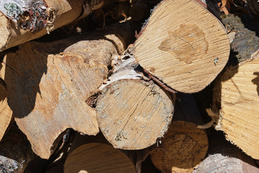 Similar image 21111627