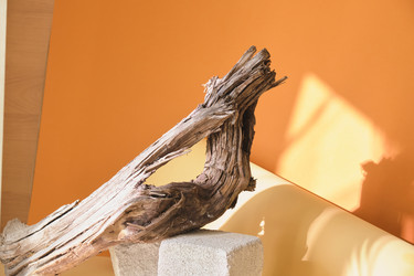 Similar image 21111692