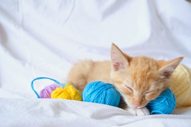 Similar image 21111694