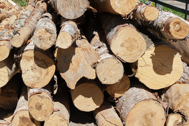 Similar image 21111699