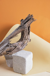 Similar image 21111700