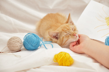 Similar image 21111704