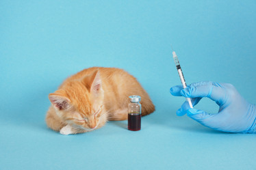 Similar image 21111792