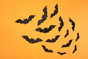 Similar image 21111799