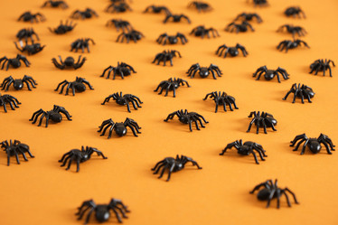 Similar image 21111805