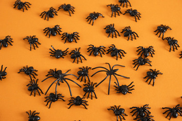 Similar image 21111807