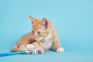 Similar image 21112116