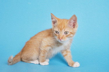 Similar image 21112122