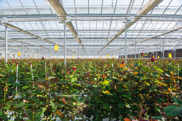 Similar image 21113534