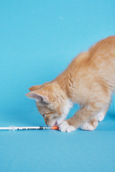 Similar image 21110579