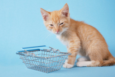 Similar image 21110583