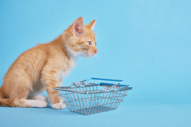 Similar image 21110585