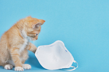 Similar image 21110587