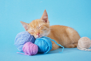 Similar image 21111059