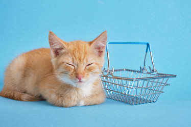 Similar image 21111063