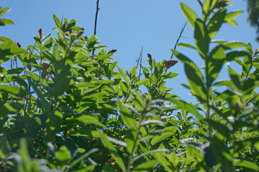 Similar image 21111066