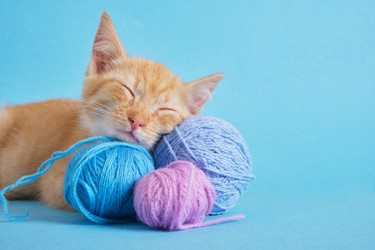 Similar image 21111072