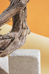 Similar image 21111075