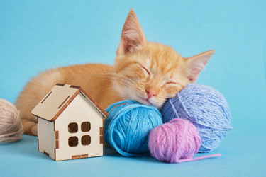 Similar image 21111078