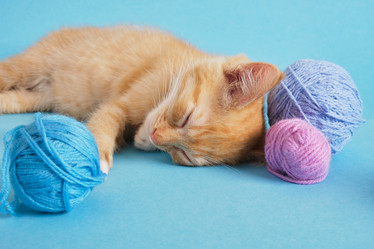 Similar image 21111080