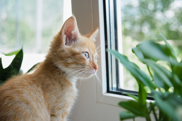 Similar image 21111082