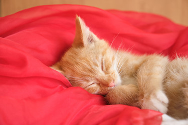 Similar image 21111090