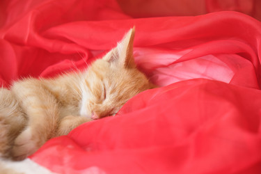 Similar image 21111096