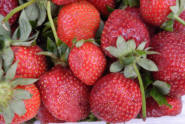 Similar image 21097135