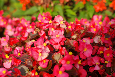 Similar image 21097141