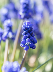 Similar image 21127886