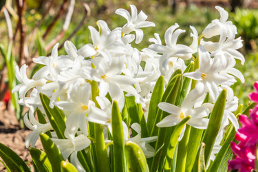 Similar image 21127888