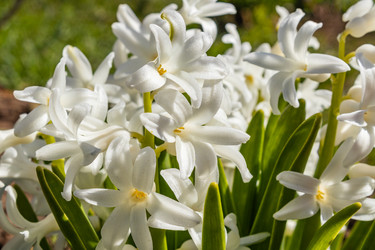 Similar image 21127889