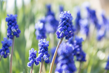 Similar image 21127891