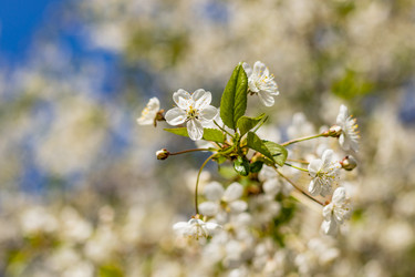 Similar image 21128839