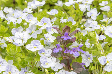 Similar image 21128840