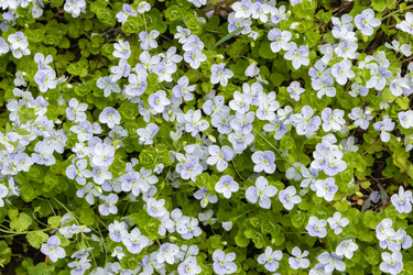 Similar image 21128841