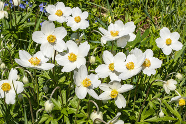 Similar image 21128843