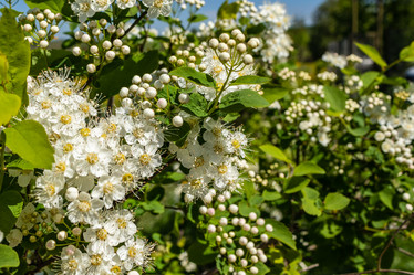 Similar image 21128844