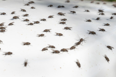 Similar image 21128845