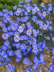 Similar image 21128847