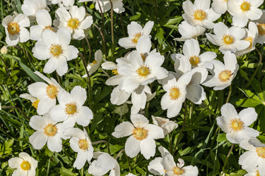 Similar image 21128848