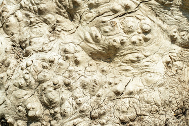 Similar image 21128849