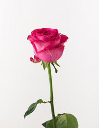 Similar image 21117558