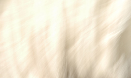 Similar image 21117571